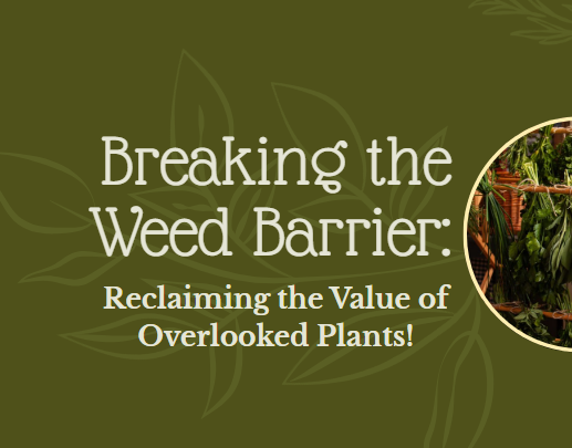 2025-05-29-14_55_23-Breaking-the-Weed-Barr-Facebook-Post.png