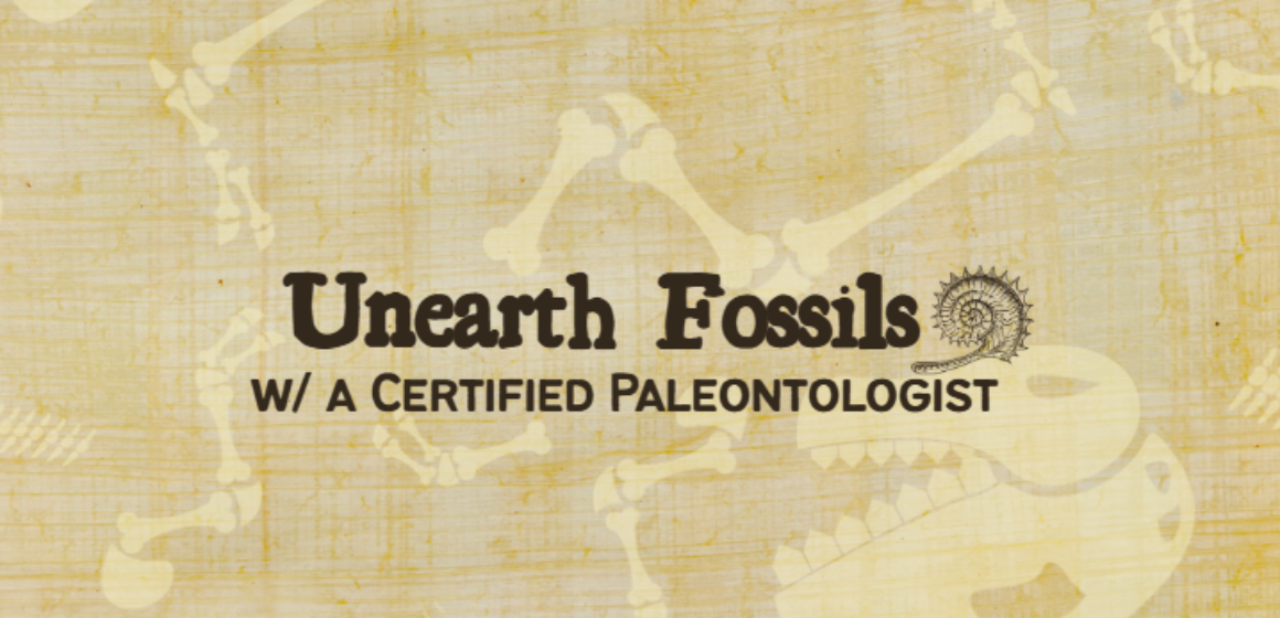 2026-08-07-15_44_36-Greenshot-1160x560.png