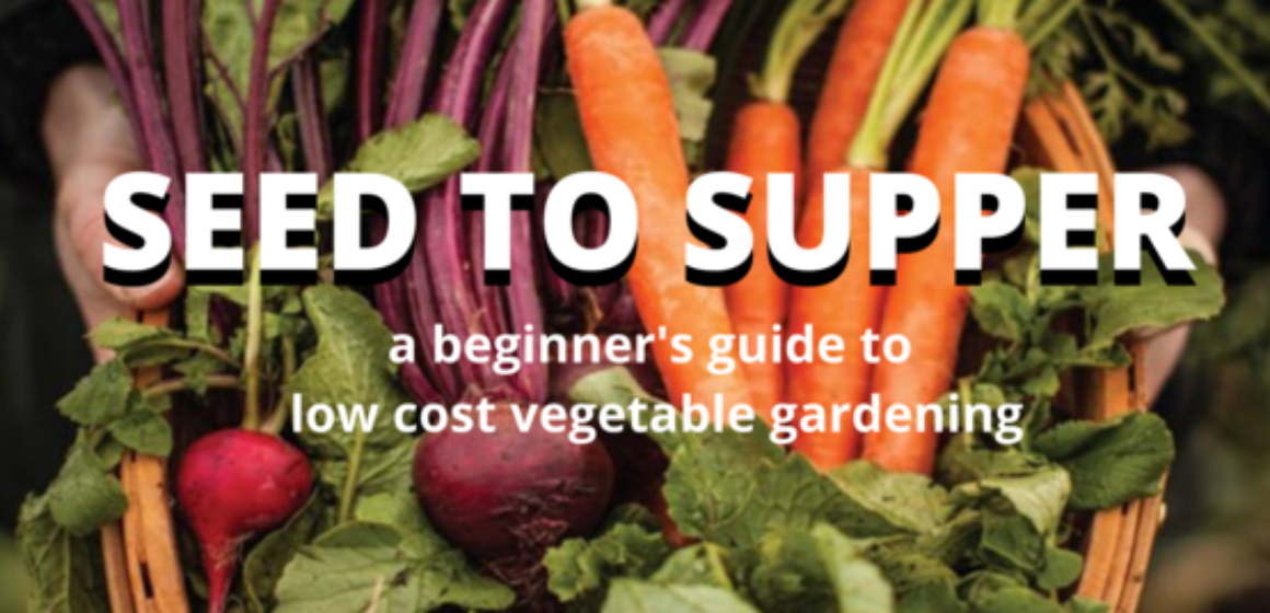 Seed_to_Supper_Header-1160x560.png