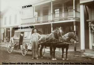 main 118 - 1900's Delmar Stewart and his milk wagon in Stamford Horses Charlie and Dutch who was blind looking away from Mabel Totten Faoro